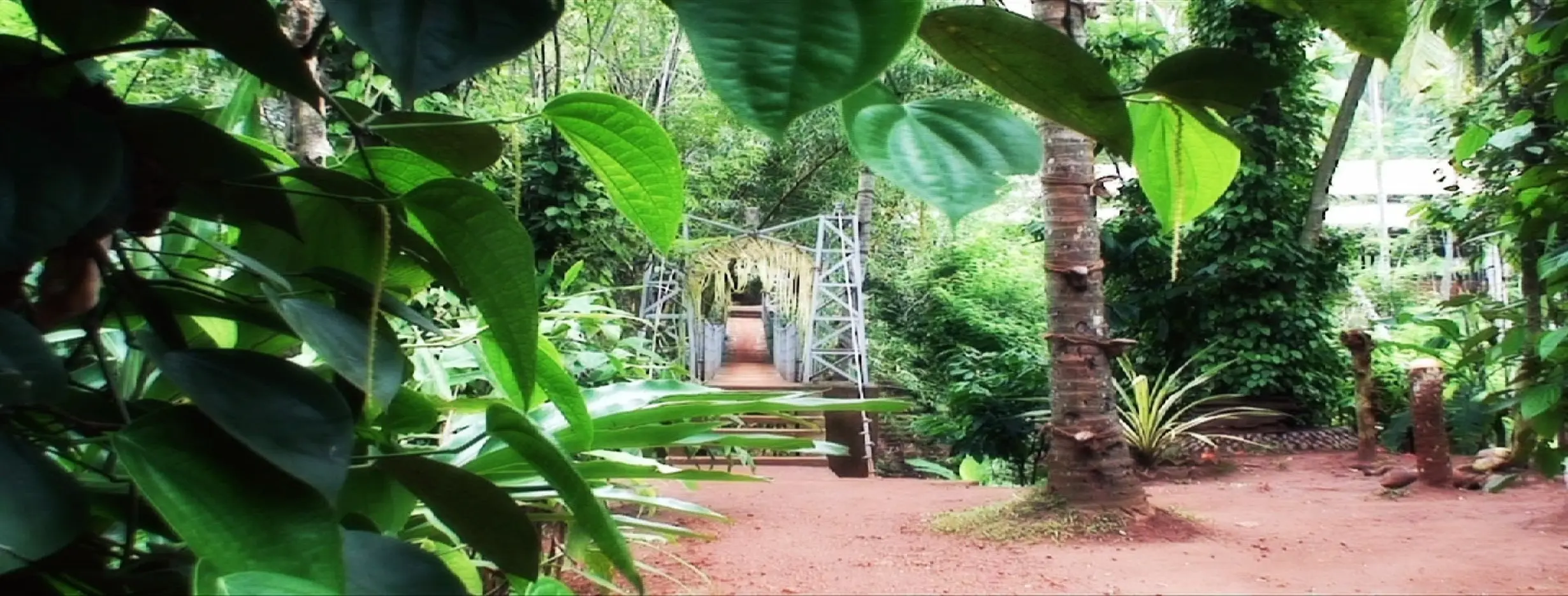 Image for Spice Gardens